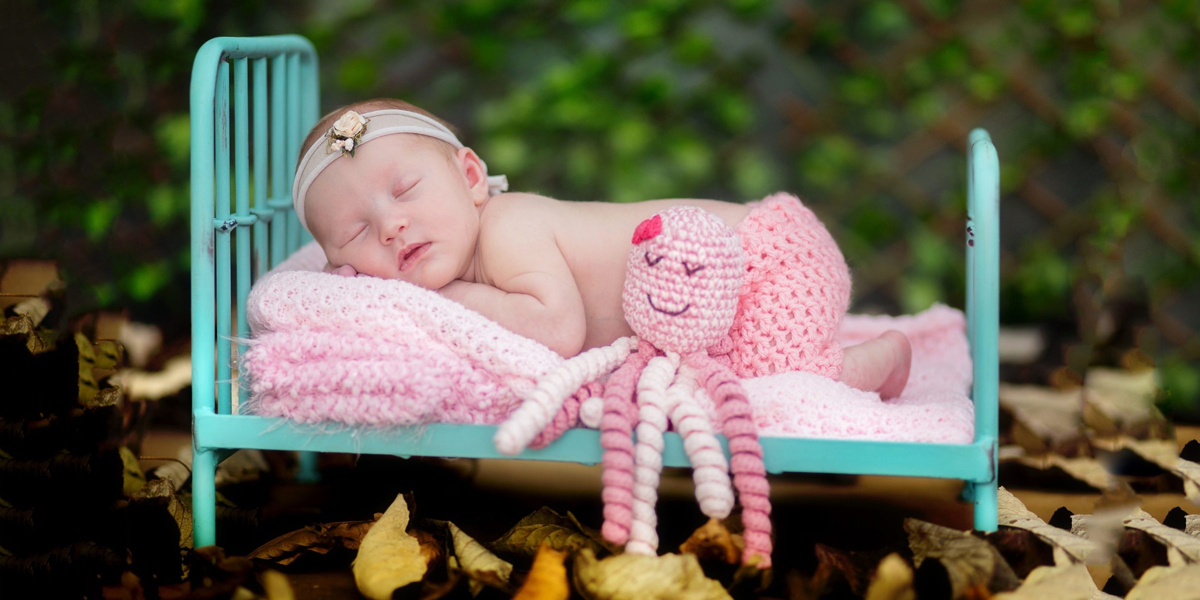 Foto de Foto Comin 4