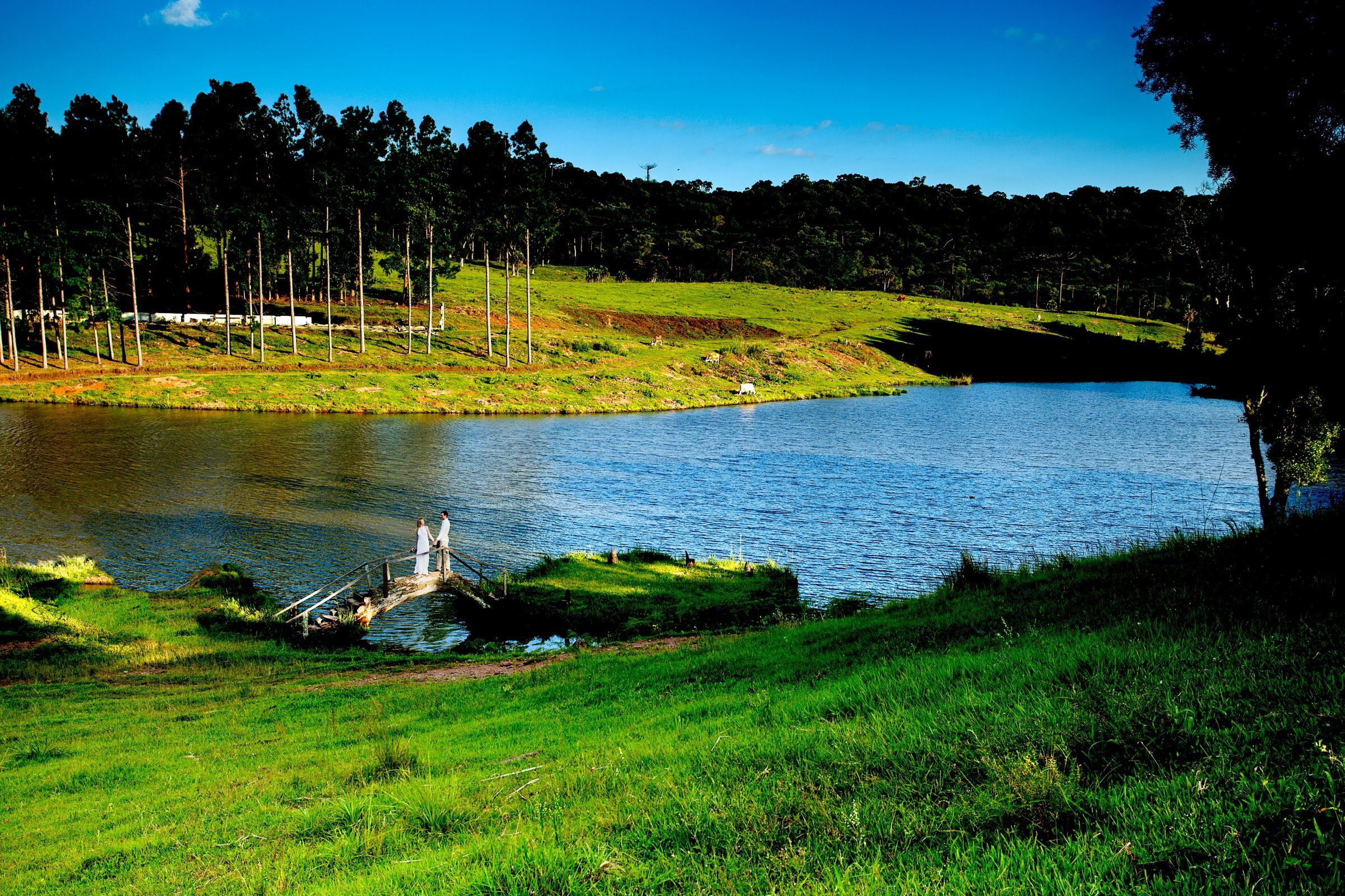 Foto de Foto Comin 6