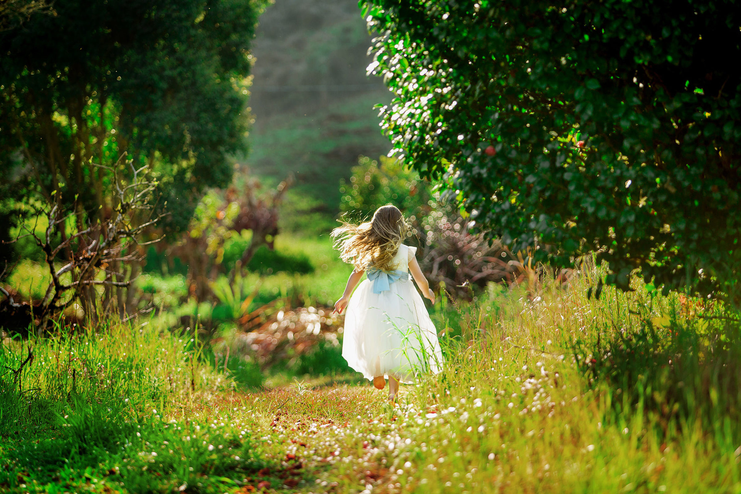 Foto de Foto Comin 0